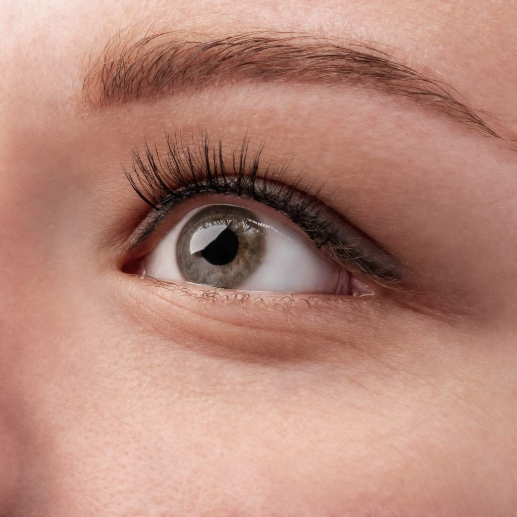 magnētiskās skropstas, magnetic eyelashes